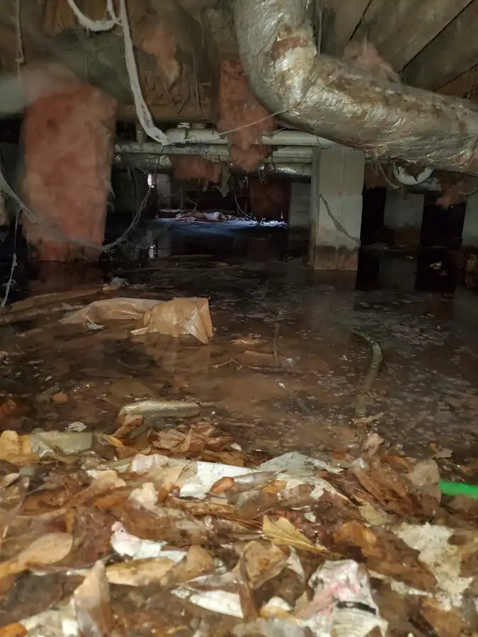 Crawl space flood assessment for Commercial Water Damage Restoration in London